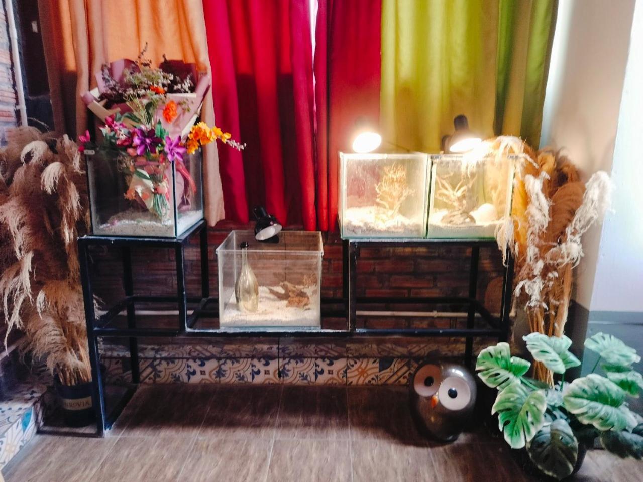 האנוי Cozy Fun Homestay 16 מראה חיצוני תמונה